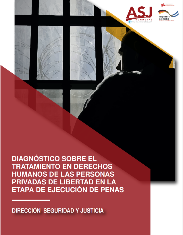 DIAGNÓSTICO SOBRE EL TRATAMIENTO EN DERECHOS HUMANOS DE LAS PERSONAS PRIVADAS DE LIBERTAD EN LA ETAPA DE EJECUCIÓN DE PENAS