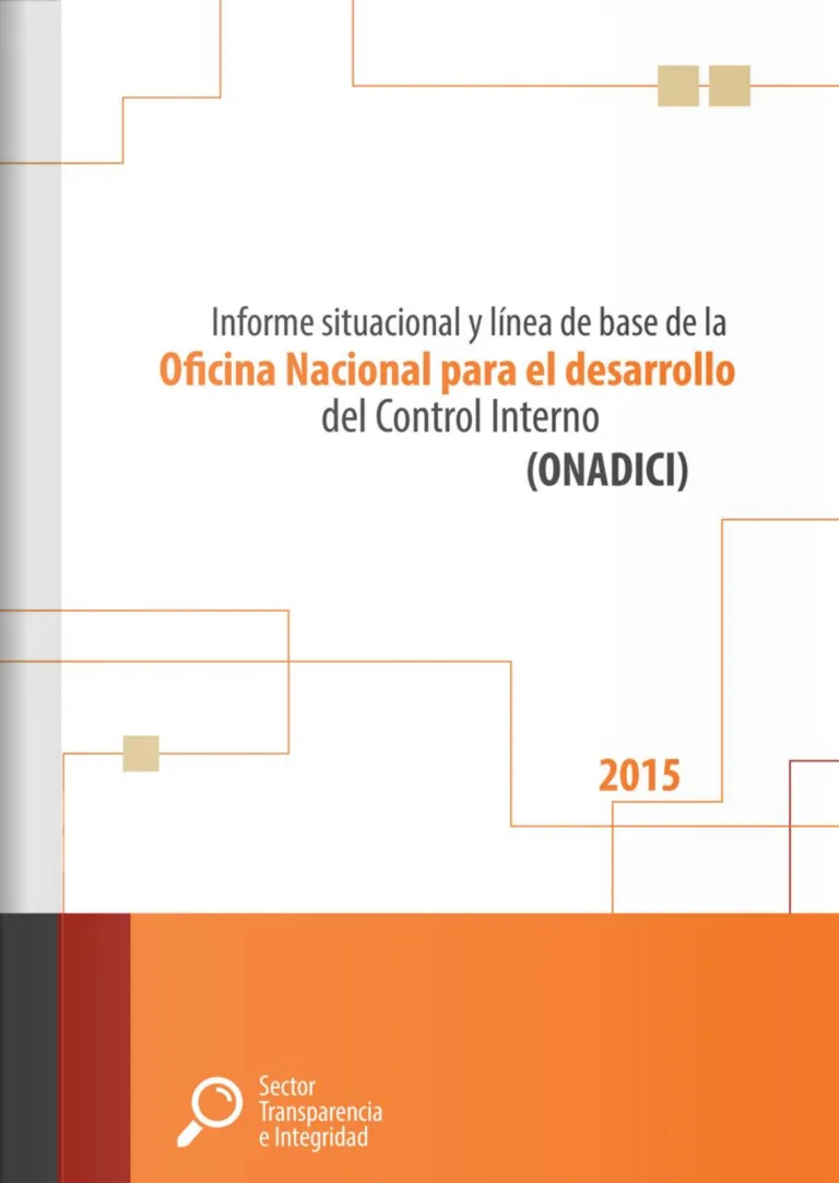 Resumen ejecutivo del Informe Línea Base de la ONADICI