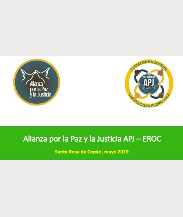 Diagnóstico Local de Seguridad y Justicia Santa Rosa de Copán, 2019