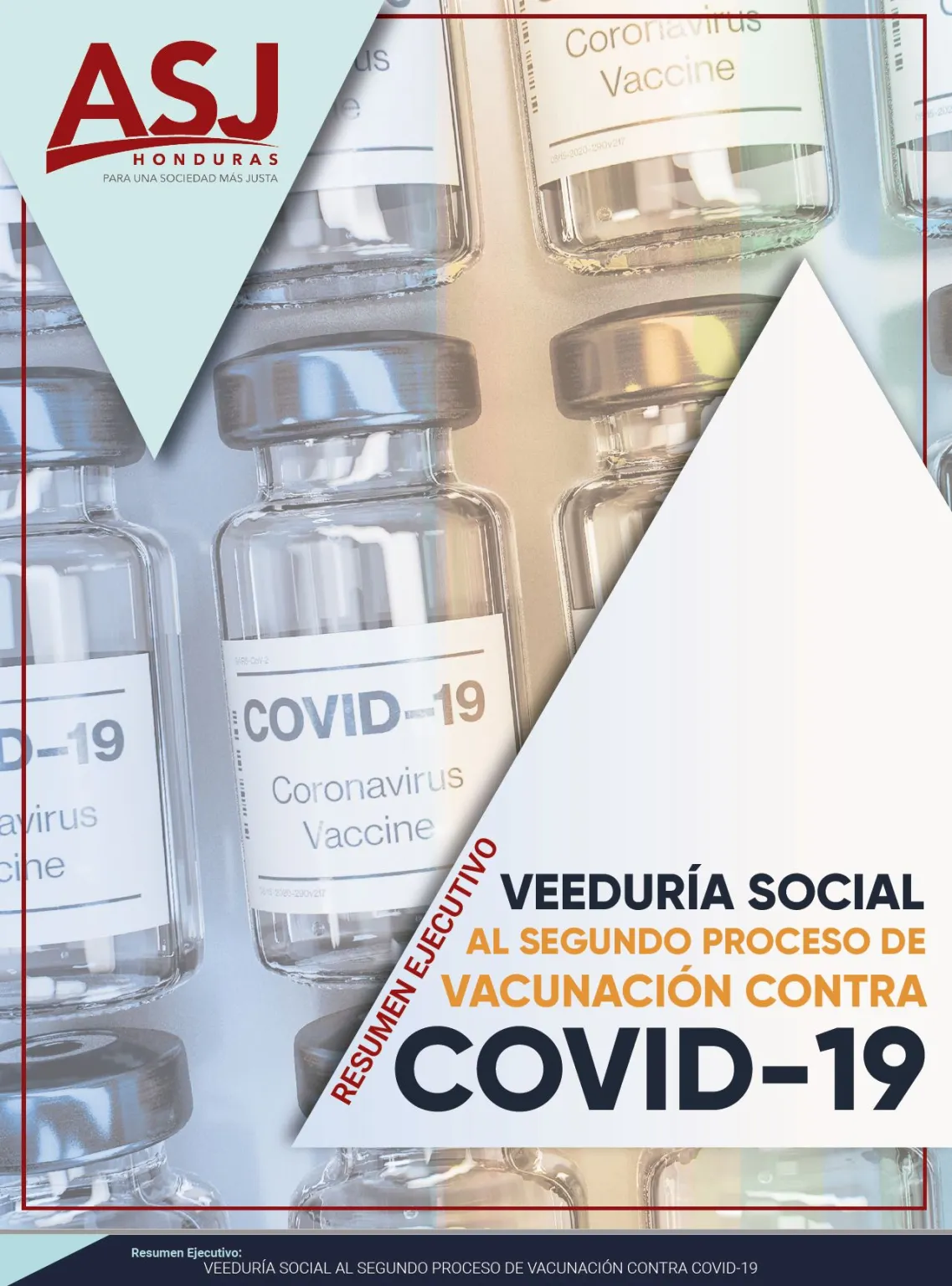 Resumen ejecutivo: Veeduría social al segundo proceso de vacunación COVID-19